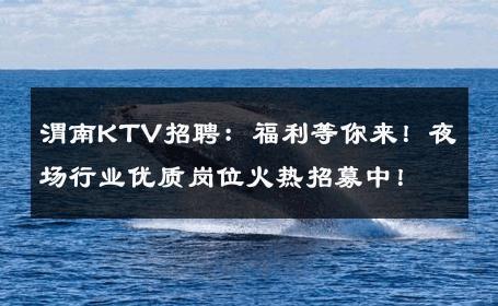 渭南KTV招聘：福利等你来！夜场行业优质岗位火热招募中！