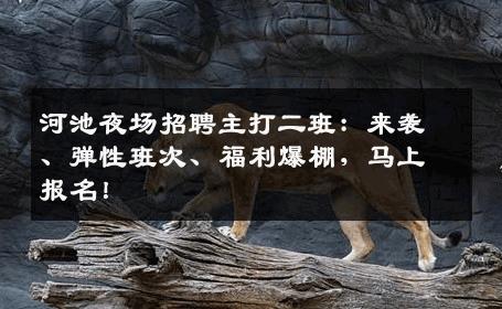河池夜场招聘主打二班：来袭、弹性班次、福利爆棚，马上报名！