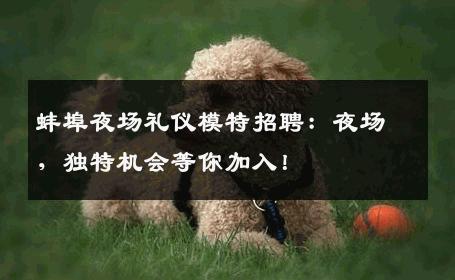 蚌埠夜场礼仪模特招聘：夜场，独特机会等你加入！