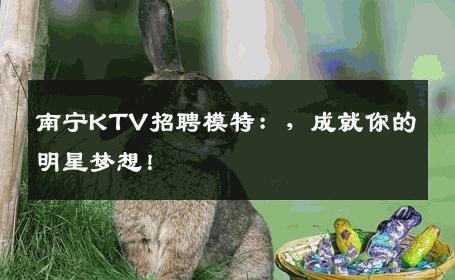 南宁KTV招聘模特：，成就你的明星梦想！