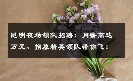 昆明夜场领队招聘：月薪高达万元，招募精英领队带你飞！