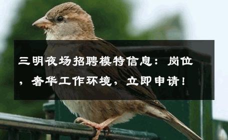 三明夜场招聘模特信息：岗位，奢华工作环境，立即申请！