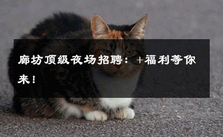廊坊顶级夜场招聘：+福利等你来！