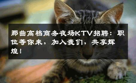 那曲高档商务夜场KTV招聘：职位等你来，加入我们，共享辉煌！