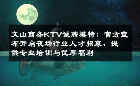 文山商务KTV诚聘模特：官方宣布开启夜场行业人才招募，提供专业培训与优厚福利