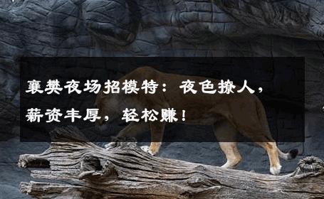 襄樊夜场招模特：夜色撩人，薪资丰厚，轻松赚！