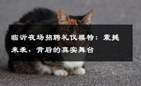 临沂夜场招聘礼仪模特：震撼来袭，背后的真实舞台