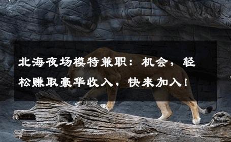 北海夜场模特兼职：机会，轻松赚取豪华收入，快来加入！