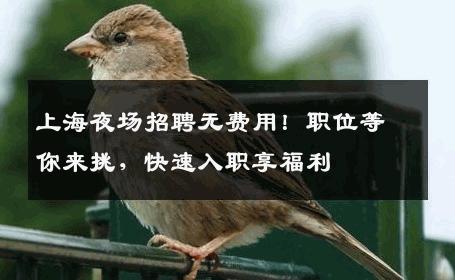 上海夜场招聘无费用！职位等你来挑，快速入职享福利