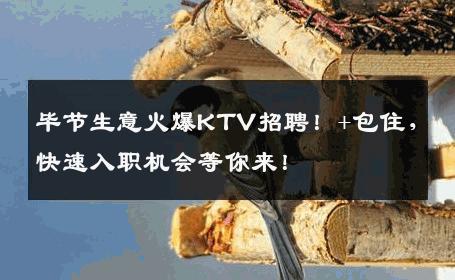 毕节生意火爆KTV招聘！+包住，快速入职机会等你来！