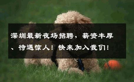 深圳最新夜场招聘，薪资丰厚、待遇惊人！快来加入我们！