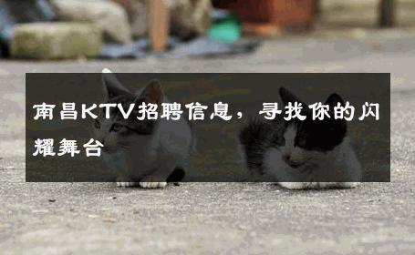 南昌KTV招聘信息，寻找你的闪耀舞台