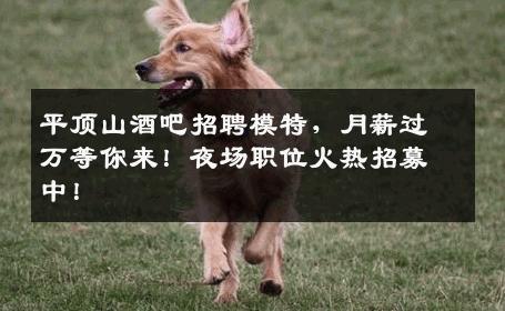 平顶山酒吧招聘模特，月薪过万等你来！夜场职位火热招募中！