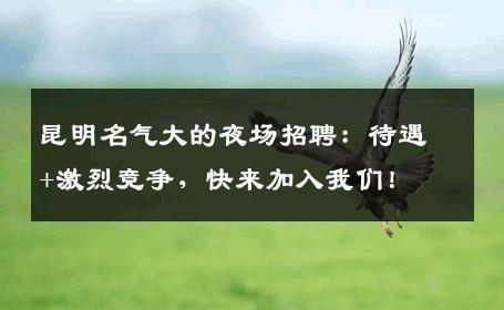 昆明名气大的夜场招聘：待遇+激烈竞争，快来加入我们！