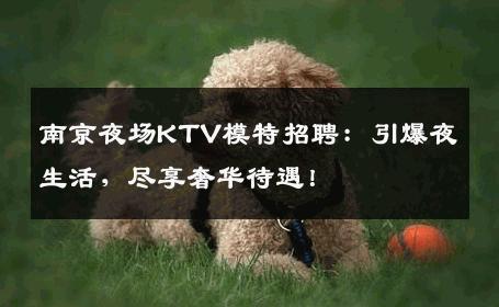 南京夜场KTV模特招聘：引爆夜生活，尽享奢华待遇！