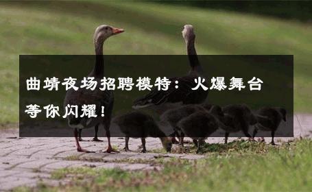 曲靖夜场招聘模特：火爆舞台等你闪耀！