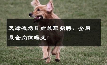 天津夜场日结兼职招聘，全网最全岗位曝光！
