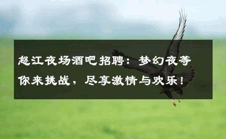 怒江夜场酒吧招聘：梦幻夜等你来挑战，尽享激情与欢乐！