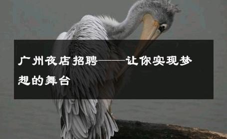广州夜店招聘——让你实现梦想的舞台