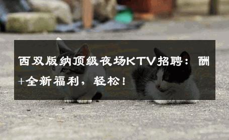 西双版纳顶级夜场KTV招聘：酬+全新福利，轻松！