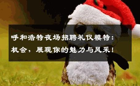 呼和浩特夜场招聘礼仪模特：机会，展现你的魅力与风采！