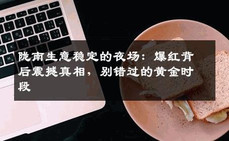 陇南生意稳定的夜场：爆红背后震撼真相，别错过的黄金时段
