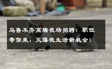 乌鲁木齐高端夜场招聘：职位等你来，火爆夜生活新机会！