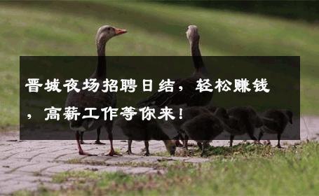 晋城夜场招聘日结，轻松赚钱，高薪工作等你来！