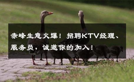 赤峰生意火爆！招聘KTV经理、服务员，诚邀你的加入！
