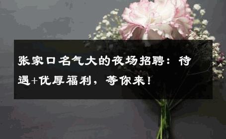 张家口名气大的夜场招聘：待遇+优厚福利，等你来！