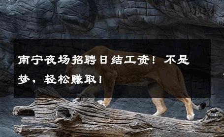 南宁夜场招聘日结工资！不是梦，轻松赚取！