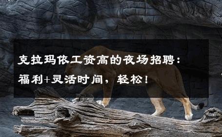 克拉玛依工资高的夜场招聘：福利+灵活时间，轻松！