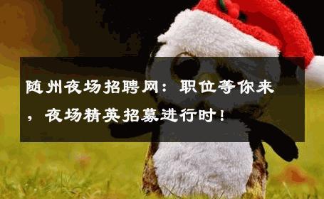 随州夜场招聘网：职位等你来，夜场精英招募进行时！