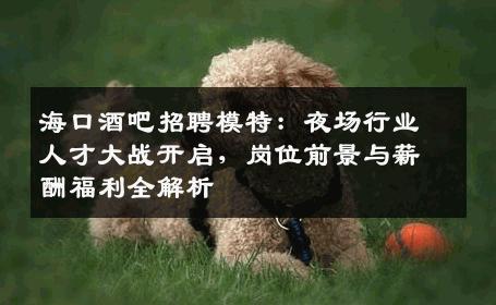 海口酒吧招聘模特：夜场行业人才大战开启，岗位前景与薪酬福利全解析