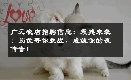 广元夜店招聘信息：震撼来袭！岗位等你挑战，成就你的夜传奇！