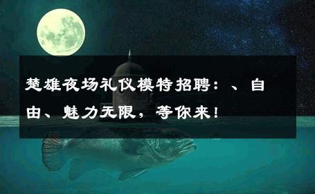 楚雄夜场礼仪模特招聘：、自由、魅力无限，等你来！