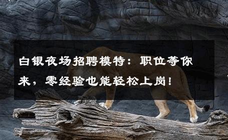 白银夜场招聘模特：职位等你来，零经验也能轻松上岗！
