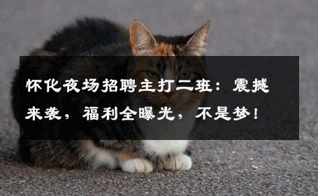 怀化夜场招聘主打二班：震撼来袭，福利全曝光，不是梦！