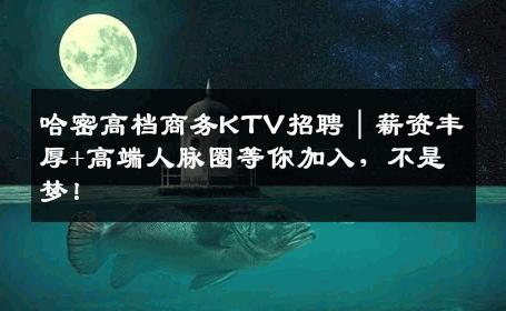 哈密高档商务KTV招聘｜薪资丰厚+高端人脉圈等你加入，不是梦！