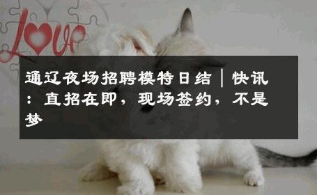 通辽夜场招聘模特日结｜快讯：直招在即，现场签约，不是梦