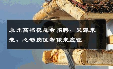 永州高档夜总会招聘，火爆来袭，心动岗位等你来应征