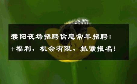 濮阳夜场招聘信息常年招聘：+福利，机会有限，抓紧报名！