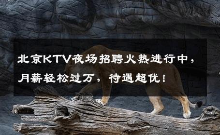 北京KTV夜场招聘火热进行中，月薪轻松过万，待遇超优！