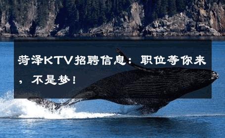 菏泽KTV招聘信息：职位等你来，不是梦！
