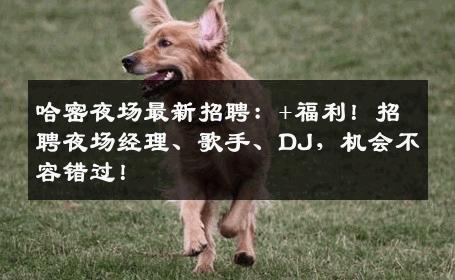 哈密夜场最新招聘：+福利！招聘夜场经理、歌手、DJ，机会不容错过！
