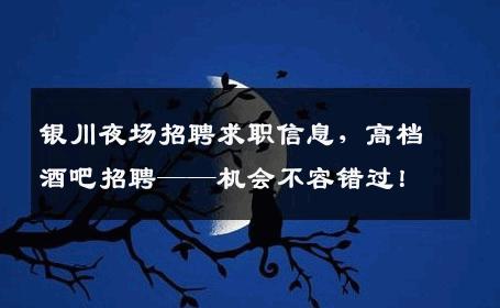 银川夜场招聘求职信息，高档酒吧招聘——机会不容错过！