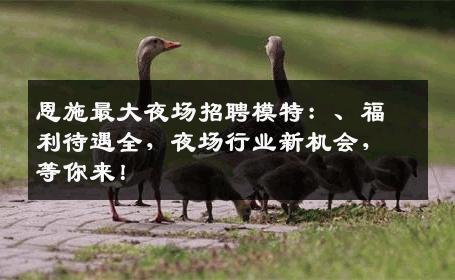 恩施最大夜场招聘模特：、福利待遇全，夜场行业新机会，等你来！