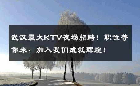 武汉最大KTV夜场招聘！职位等你来，加入我们成就辉煌！