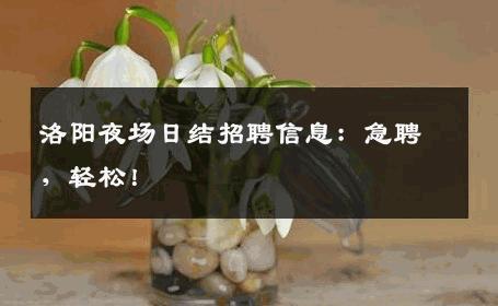 洛阳夜场日结招聘信息：急聘，轻松！