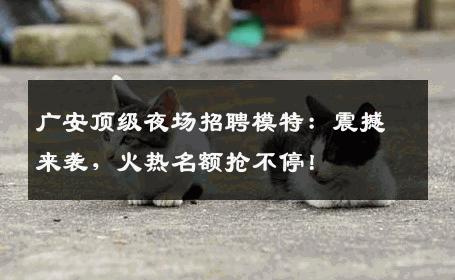 广安顶级夜场招聘模特：震撼来袭，火热名额抢不停！